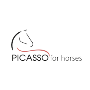 Sangles Picasso for horses